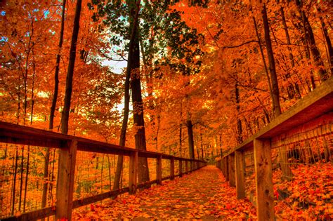 high resolution fall background|fall computer backgrounds.